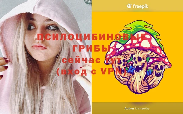 экстази Гусиноозёрск